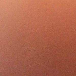 Meet your Posher, Gabriela